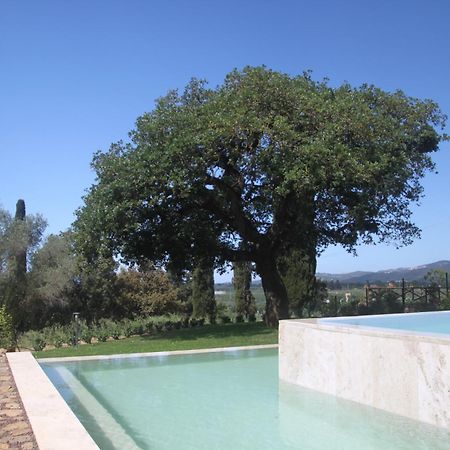 Agriturismo Il Broletto Suvereto Exterior foto